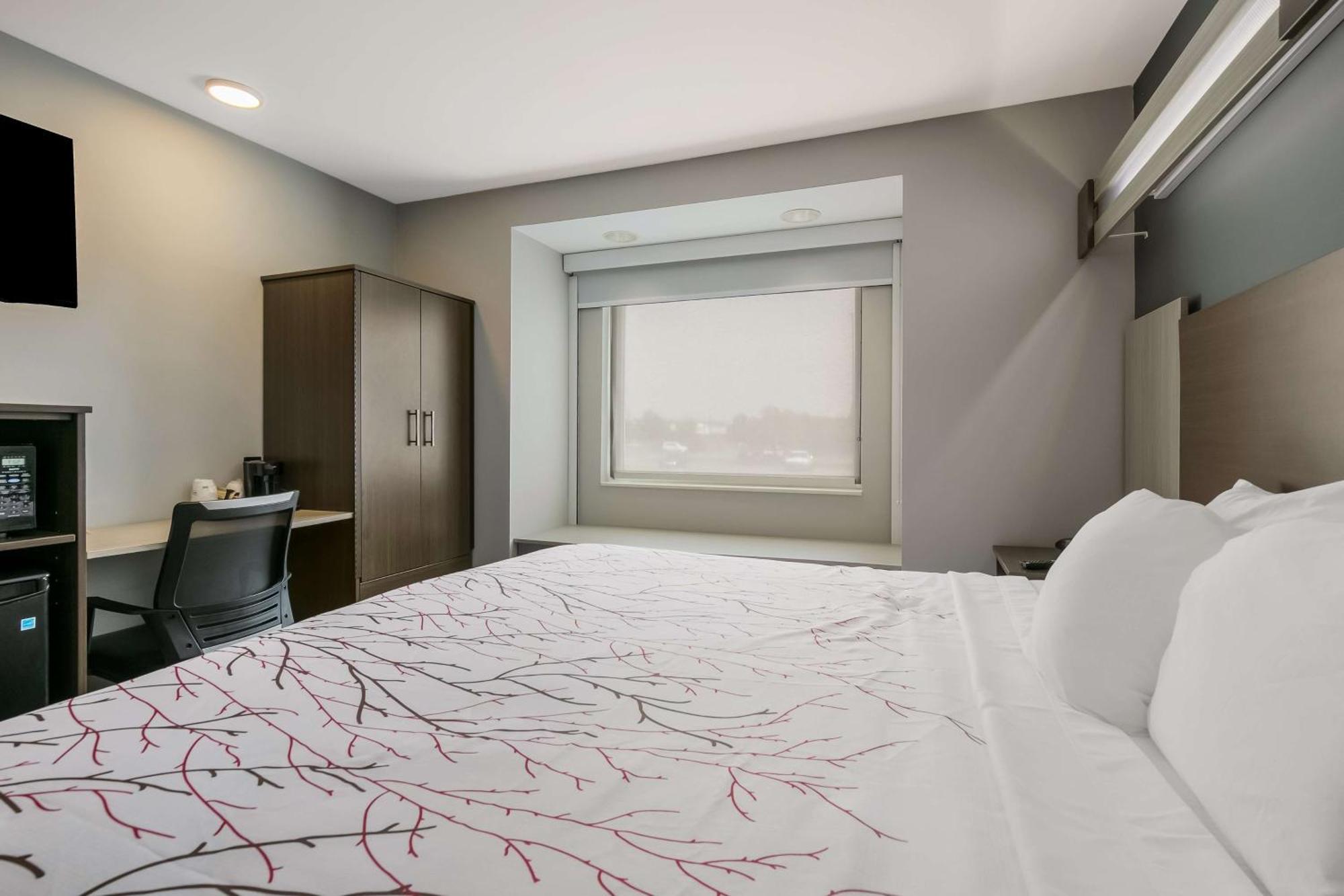 Surestay Plus Hotel By Best Western Sevierville Exterior foto